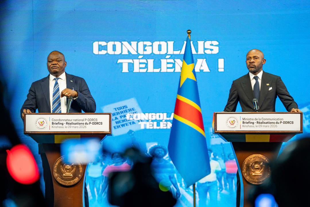 RDC: Le P-DDRC place au coeur de son action la réinsertion professionnelle des ex-combattants