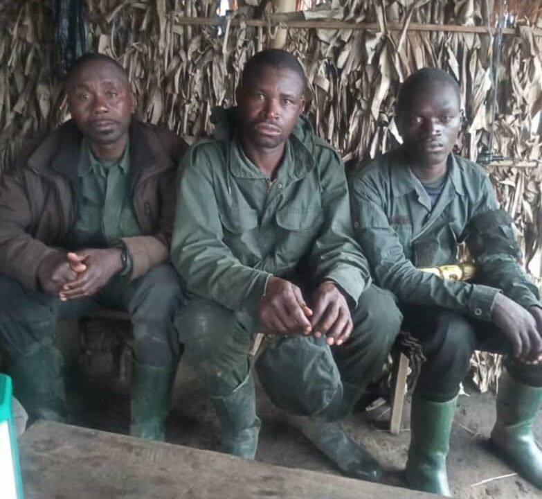 Sud-Kivu : reddition de combattants AFC-M23 et dénonciation d’un massacre à Walungu