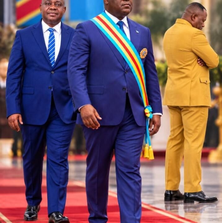 OUVRAGE DE ALINGETE INTITULE LE CONTROLE A PRIORI DES FINANCES PUBLIQUES EN REPUBLIQUE DEMOCRATIQUE DU CONGO LA RAISON D’ETRE DE LA PATRUOILLE FINACIERE 