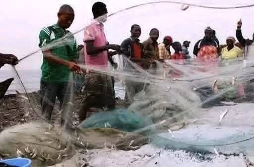 Goma : au marché de Kituku, des pêcheurs accusés d&rsquo;exploiter sexuellement des mineures