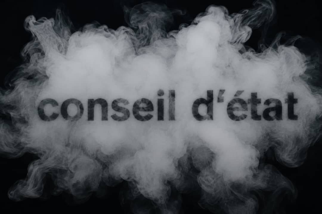 Après le rapport de naufrage financier : le Conseil d’Etat enterre les réformes de Marie-Thérèse Sombo à l&rsquo;ESU(Ordonnance)